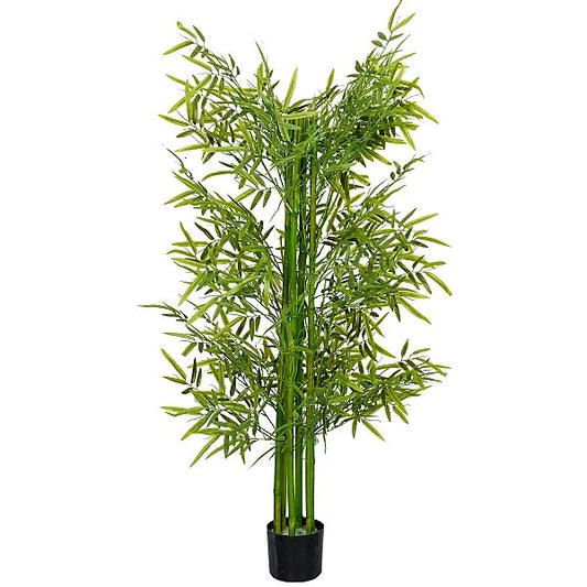 Bambus Green, Tropical Bamboo
