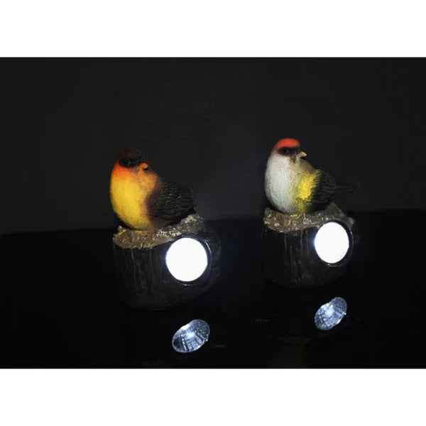 Garden Decor SLR 1857