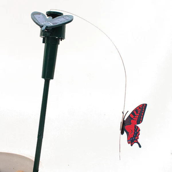 Solar Butterfly Stake