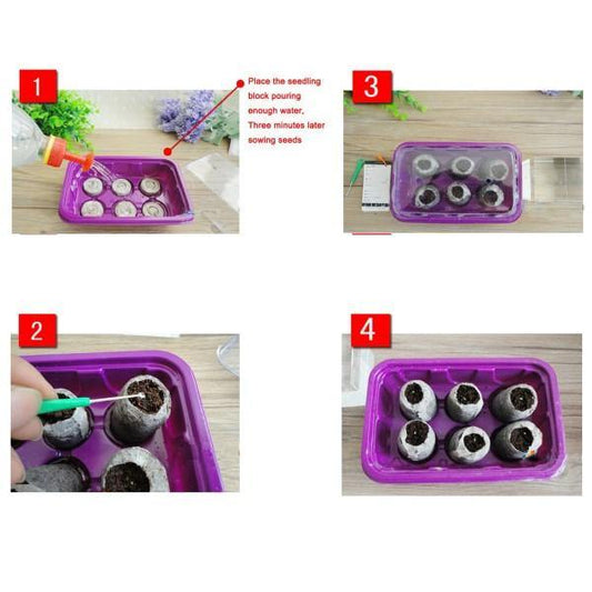 Peat Pellets or Peat Seeds Starters