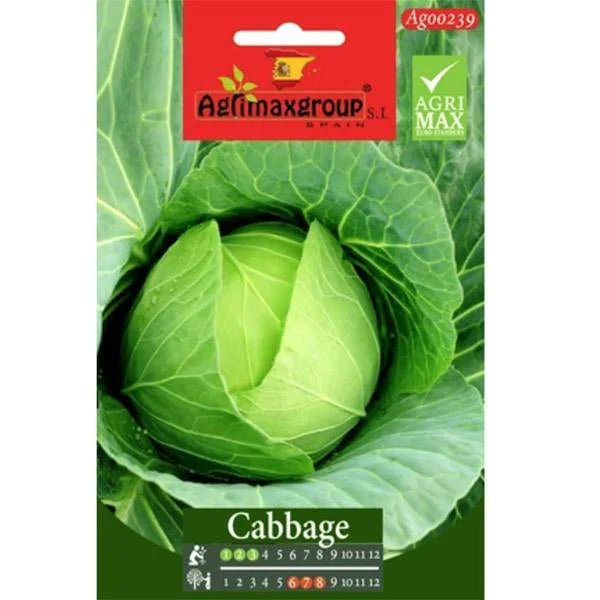 Cabbage Seeds