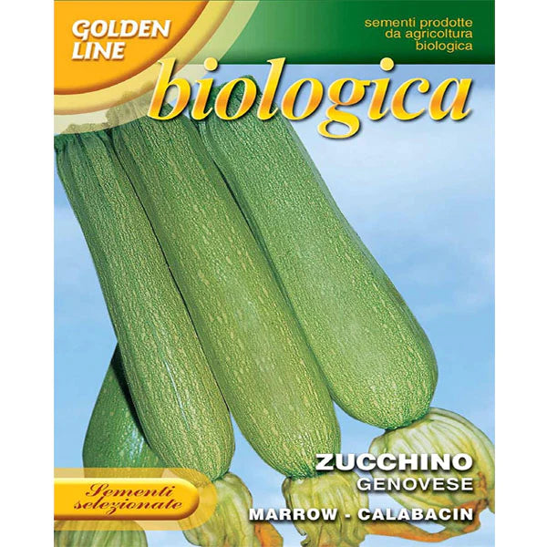 Squash Genovese, Franchi Seeds