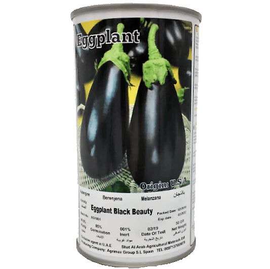 Eggplant Black Beauty Seeds Tin