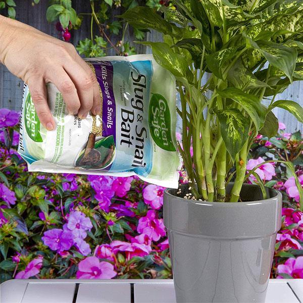 Garden Safe Slug, Snail Bait 2LB