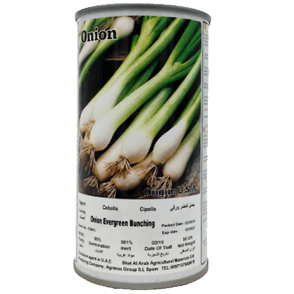 Evergreen Bunching Onions Seeds Tin