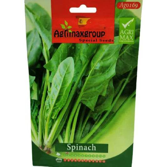 Spinach Seeds