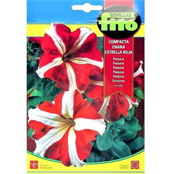 Dwarf Compact Red Star Seeds