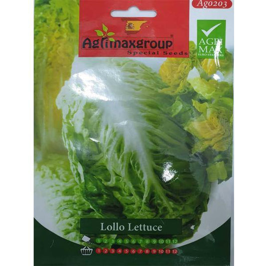 Lollo Lettuce Seeds