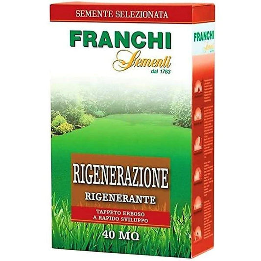 Grass Seeds by FRANCHI RIGENERAZIONE
