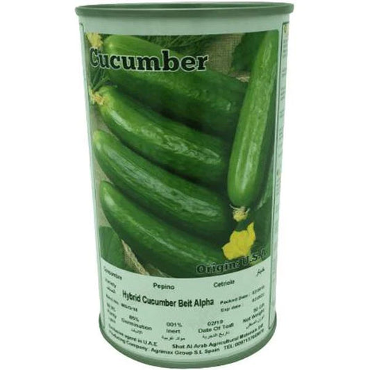 Hybrid Cucumber Beit Alpha Seeds Tin