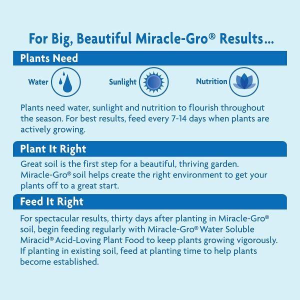 Miracle-Gro Acid-Loving Plant Food