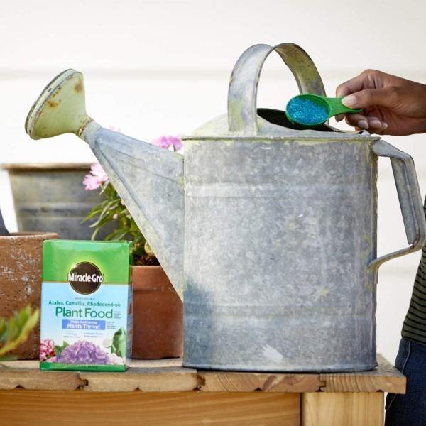 Miracle-Gro Acid-Loving Plant Food