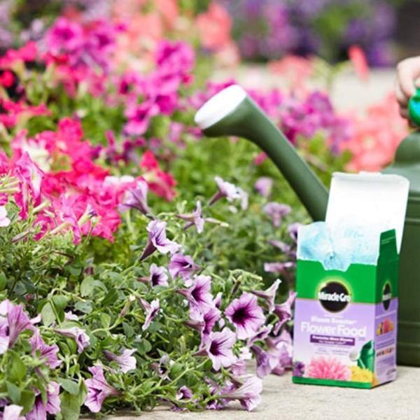 Miracle-Gro Water Soluble Bloom Booster Flower Food