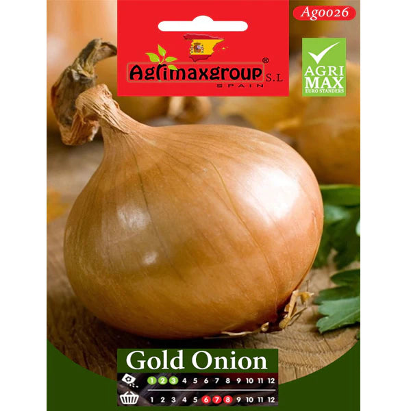 Gold Onion Seeds