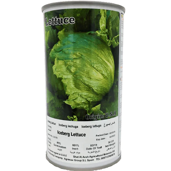 Iceberg Lettuce Seeds Tin
