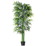 Bambus green or Tropical Bamboo