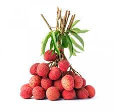Lychee Plant