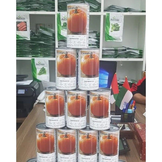 Pumpkin Mammoth Gold Seeds Tin