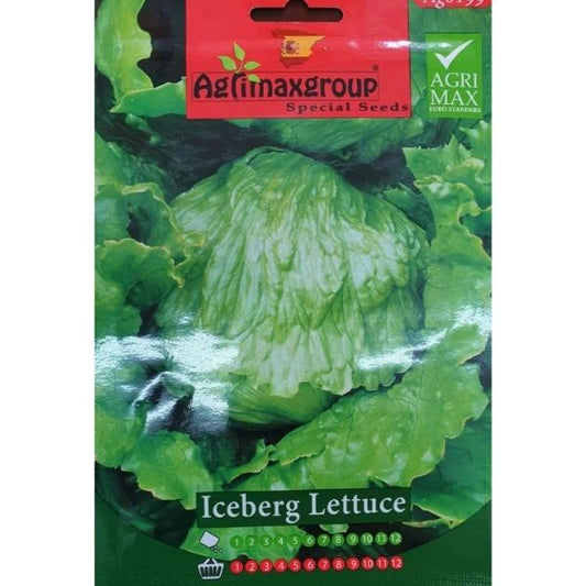 Iceberg Lettuce Seeds