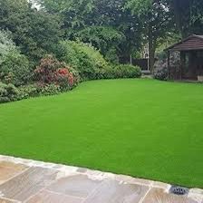 Natural Carpet Grass, American Bermuda)