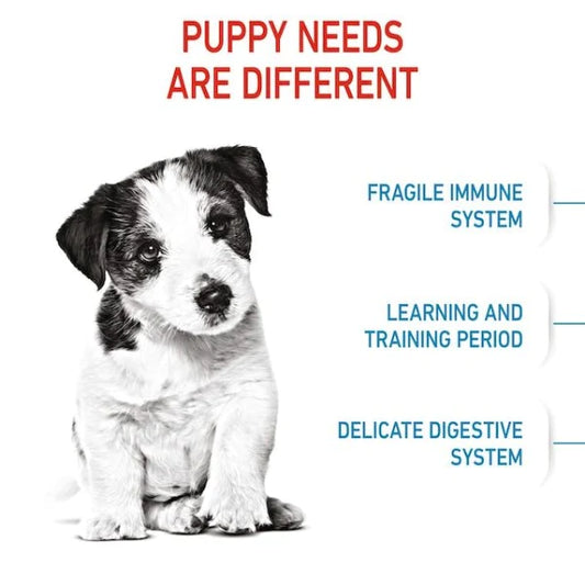 Dry Food For Dog, Mini Puppy , 2 - 10 months old