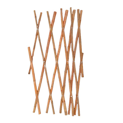 Bamboo Trellis