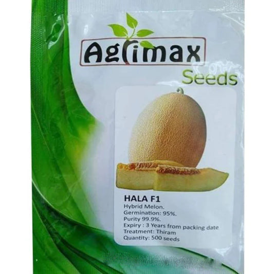 Hala F1 Hybrid Melon Premium Quality Seeds