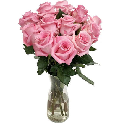 Fresh Pink Roses and Bouquet