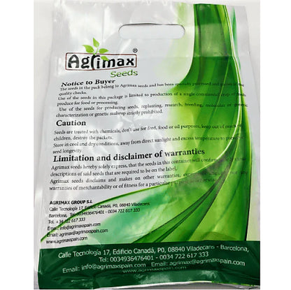 Alfalfa Desert master Premium Quality Seeds