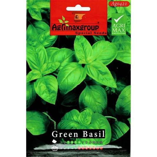 Green Basil Seeds