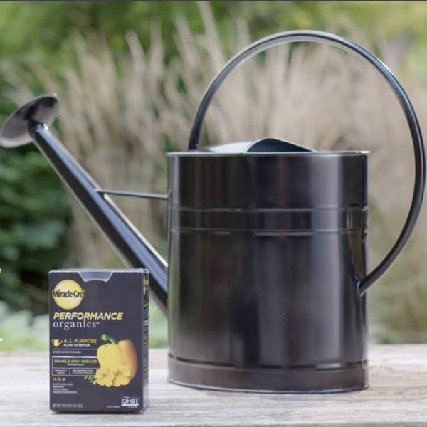 Miracle-Gro All Purpose Plant Nutrition