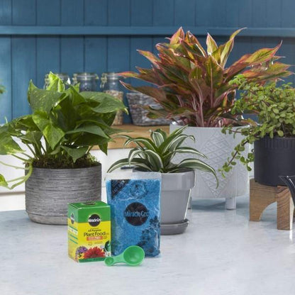 Miracle-Gro Water Soluble All Purpose Plant Food