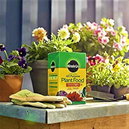 Miracle-Gro Water Soluble All Purpose Plant Food