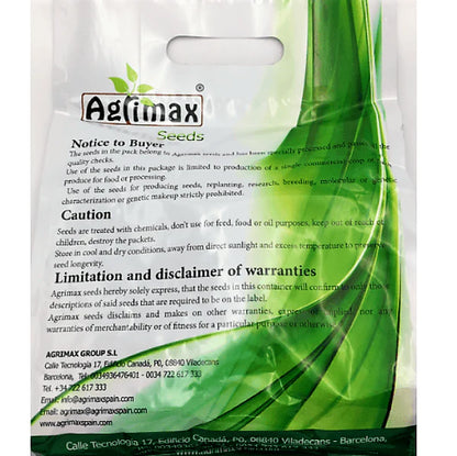 Dill Premium Quality Seeds