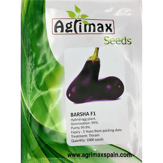 Egg Plant Barsha F1 Premium Quality Seeds
