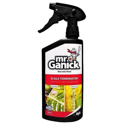 Organic Mealybug and Scale Terminator Spray