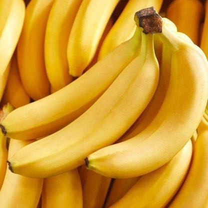 Musa Paradisiaca ,Banana Tree