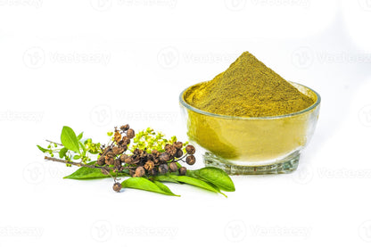 Henna “Lawsonia Inermis” Mehendi Plant