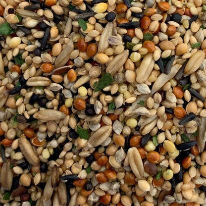 Bird Food (Mix Seed)