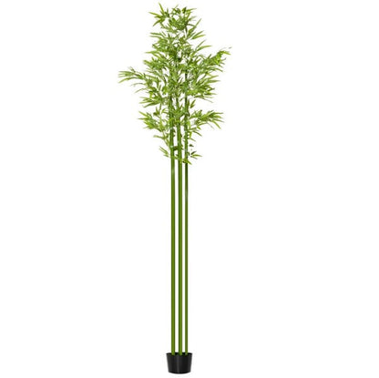 Bambus green or Tropical Bamboo