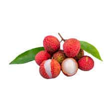 Lychee Plant