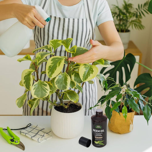 NEEM OIL