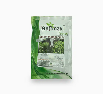Super Mombaca F1 200K Premium Quality Seeds
