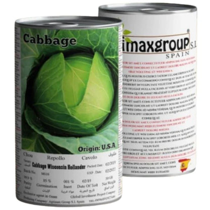 Cabbage Wisconsin Hollander Seeds Tin3