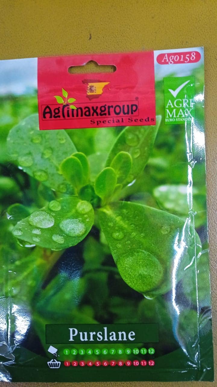 Sesuvium seeds