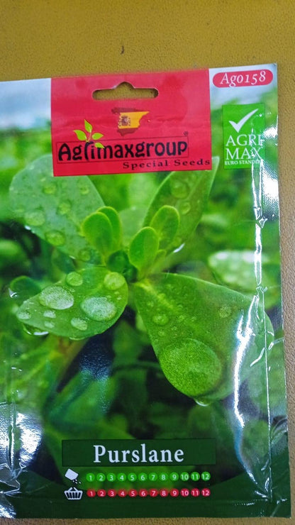 Sesuvium seeds