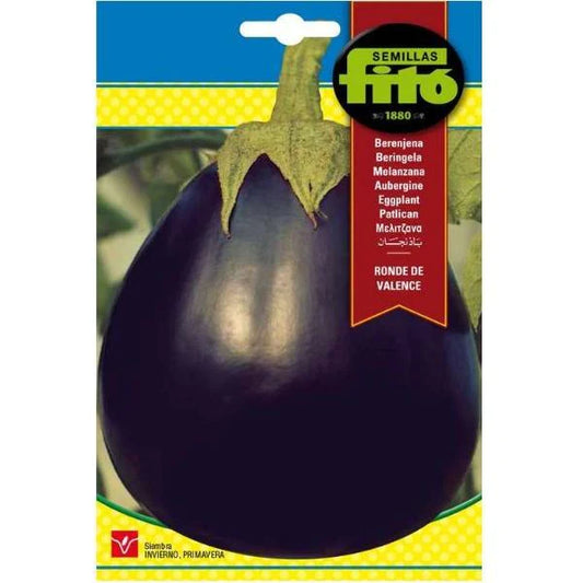 Eggplant Redonda Negra Lisa Seeds